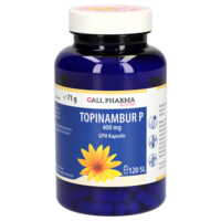 TOPINAMBUR P 400 mg GPH Kapseln