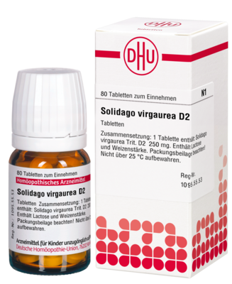 SOLIDAGO VIRGAUREA D 2 Tabletten