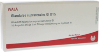 GLANDULAE SUPRARENALES GL D 15 Ampullen