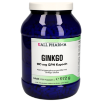 GINKGO 100 mg GPH Kapseln