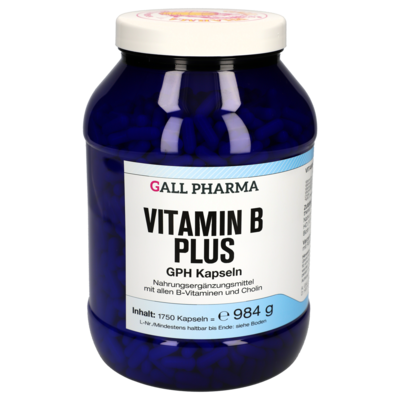 VITAMIN B PLUS GPH Kapseln