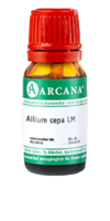 ALLIUM CEPA LM 5 Dilution