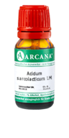 ACIDUM SARCOLACTICUM LM 19 Dilution