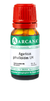 AGARICUS PHALLOIDES LM 100 Dilution