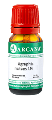 AGRAPHIS NUTANS LM 36 Dilution