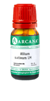 ALLIUM SATIVUM LM 10 Dilution