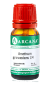 ANETHUM graveolens LM 110 Dilution