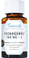 NATURAFIT Pycnogenol 100 mg+C Kapseln